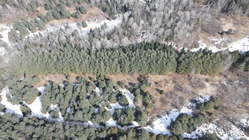 0 Hollow Road Barton VT 05822