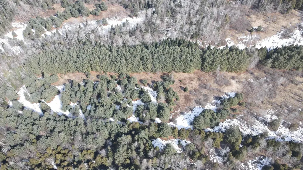 0 Hollow Road Barton VT 05822