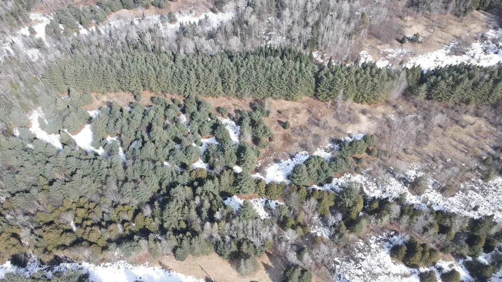 0 Hollow Road Barton VT 05822