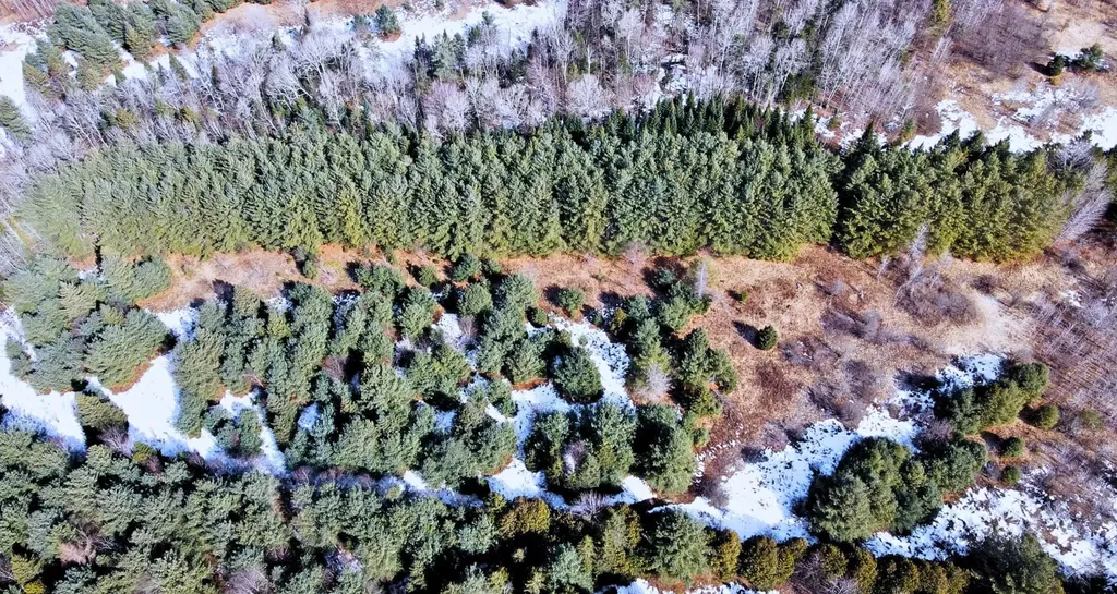 0 Hollow Road Barton VT 05822