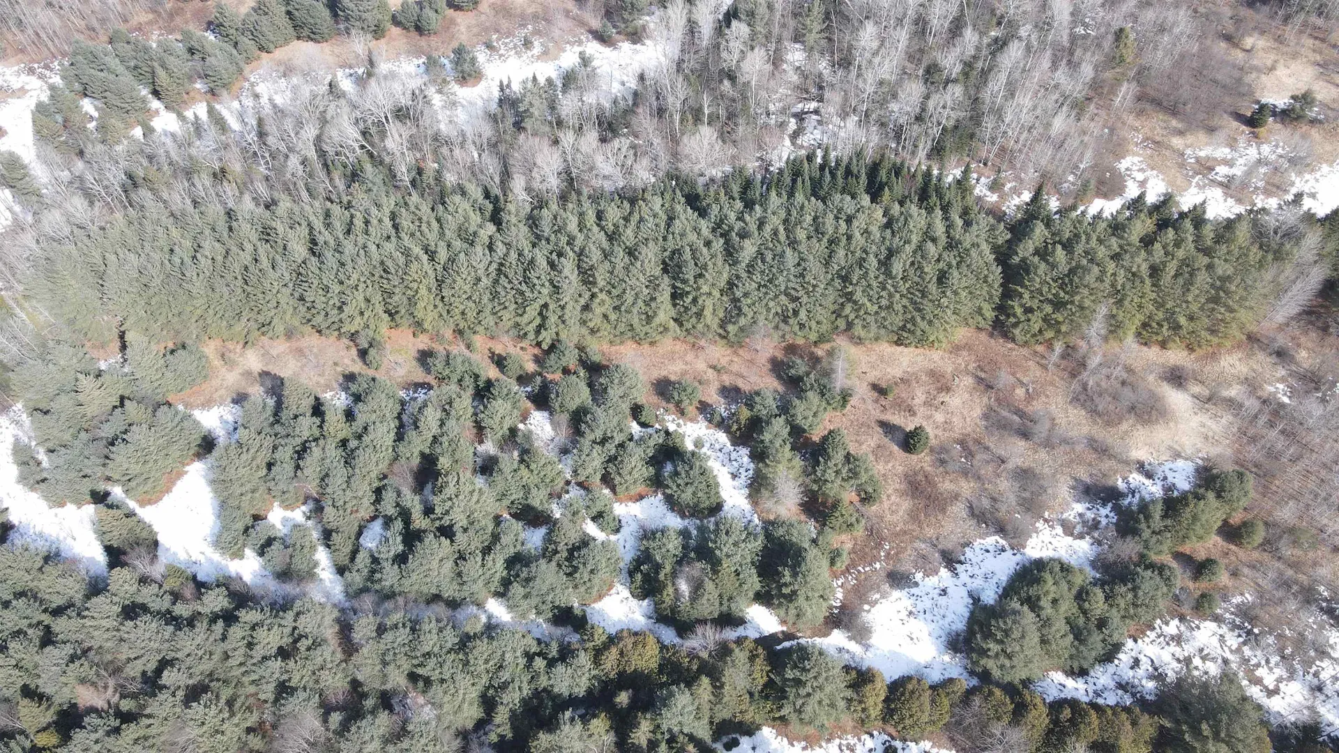 0 Hollow Road Barton VT 05822