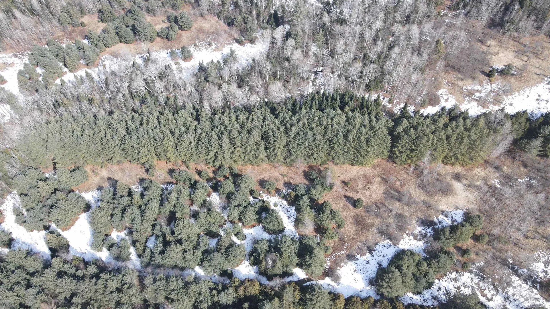 0 Hollow Road Barton VT 05822