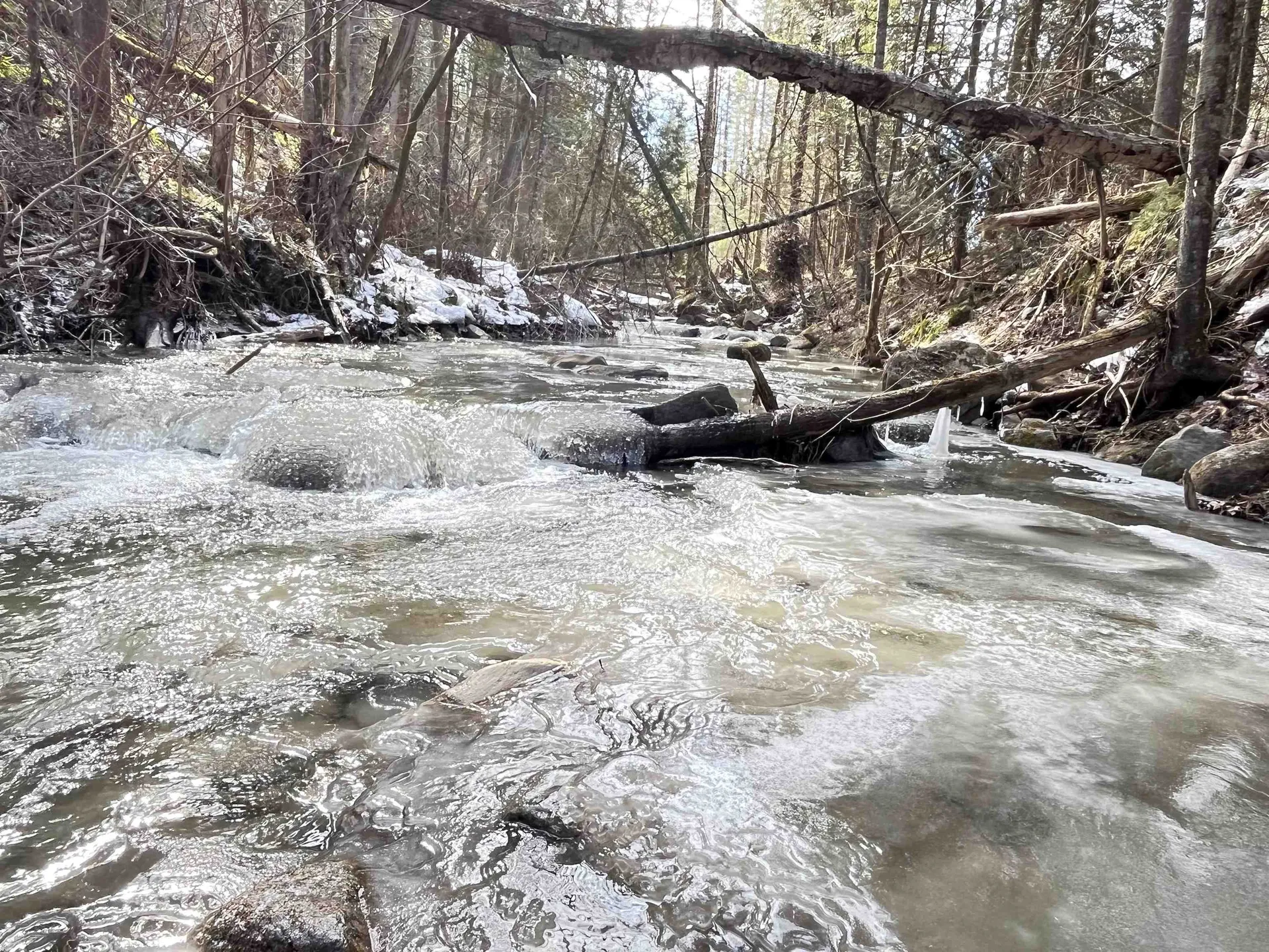 0 Hollow Road Barton VT 05822