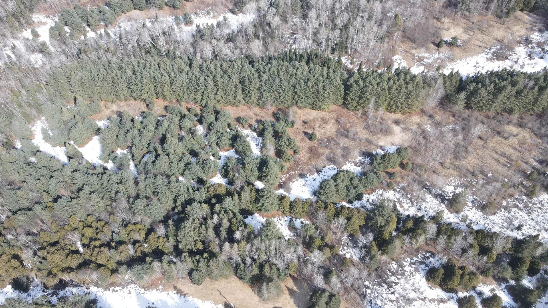 0 Hollow Road Barton VT 05822