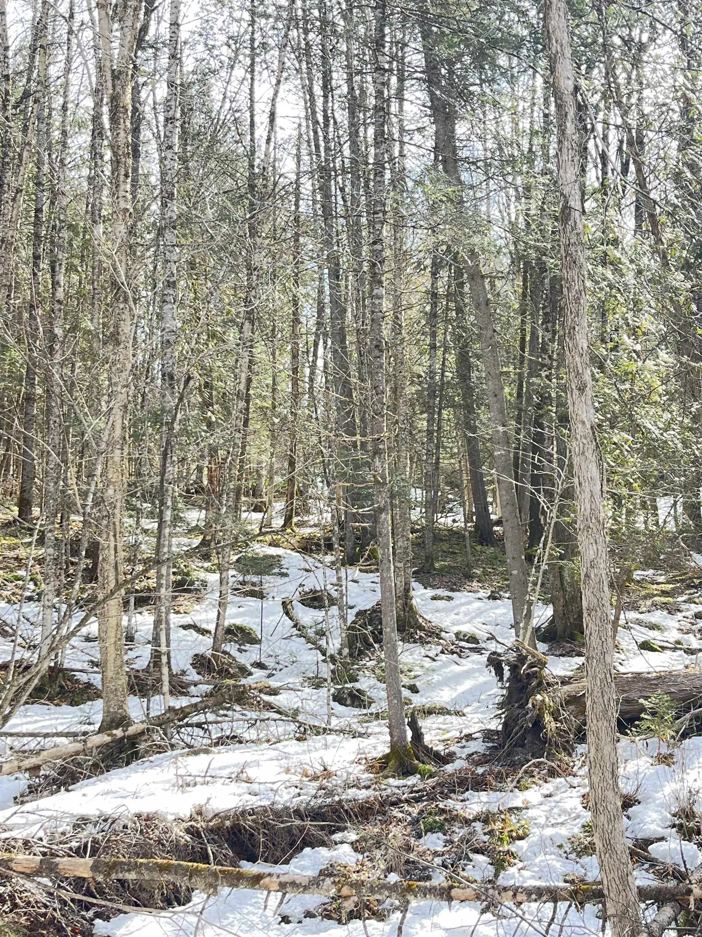 0 Hollow Road Barton VT 05822