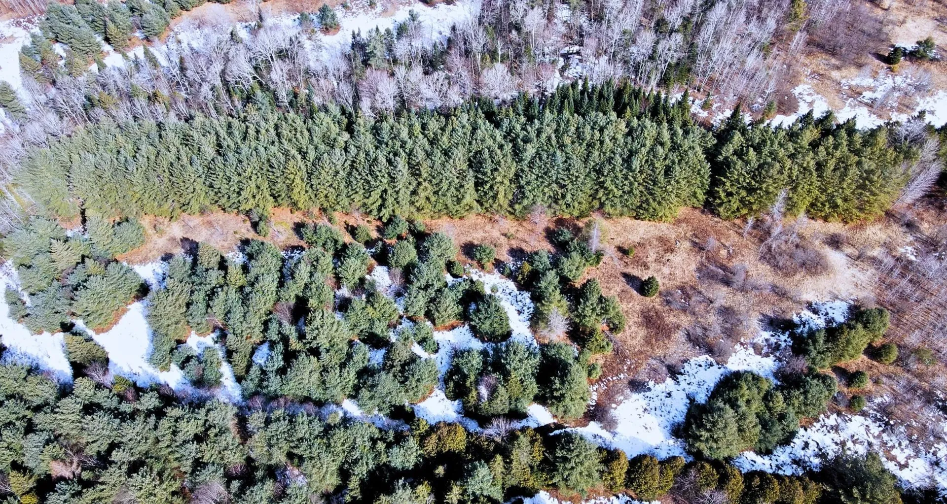 0 Hollow Road Barton VT 05822