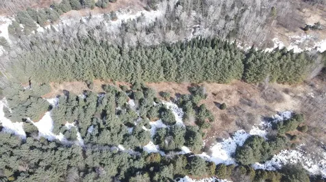 0 Hollow Road Barton VT 05822