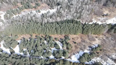 0 Hollow Road Barton VT 05822