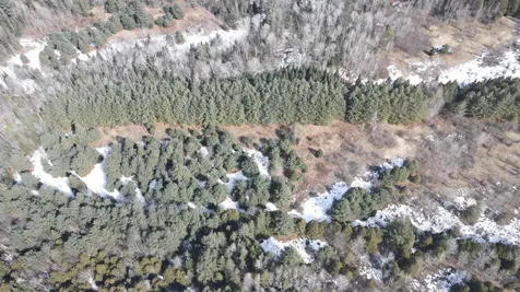 0 Hollow Road Barton VT 05822