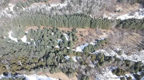 0 Hollow Road Barton VT 05822