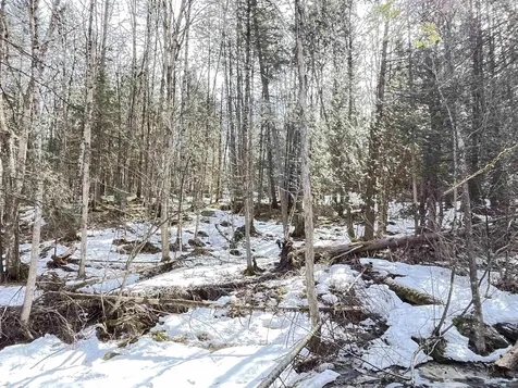 0 Hollow Road Barton VT 05822