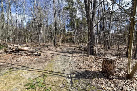 31 Christmas Tree Road Warren VT 05674