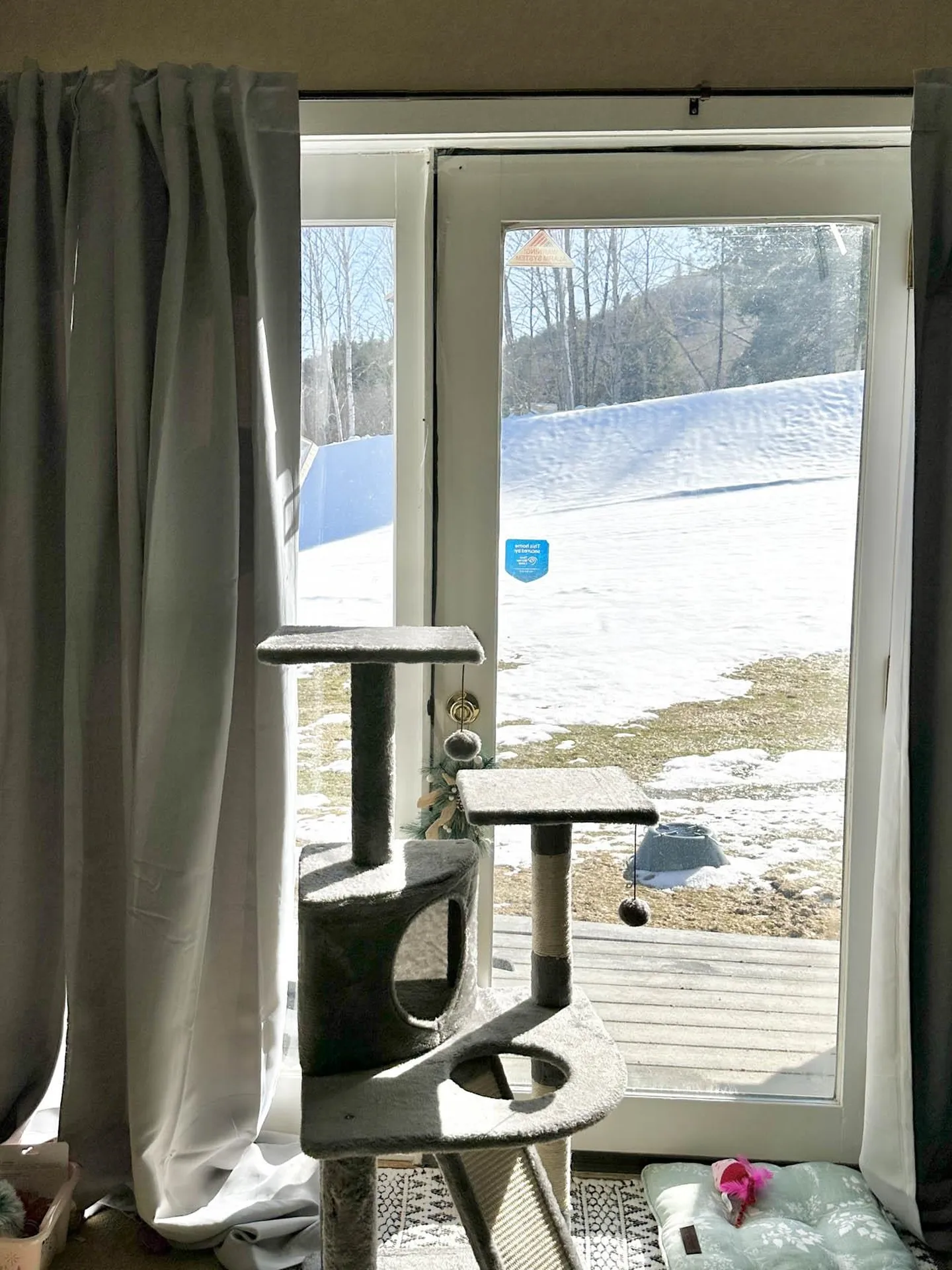 43 Tenney Brook Road Plymouth NH 03264