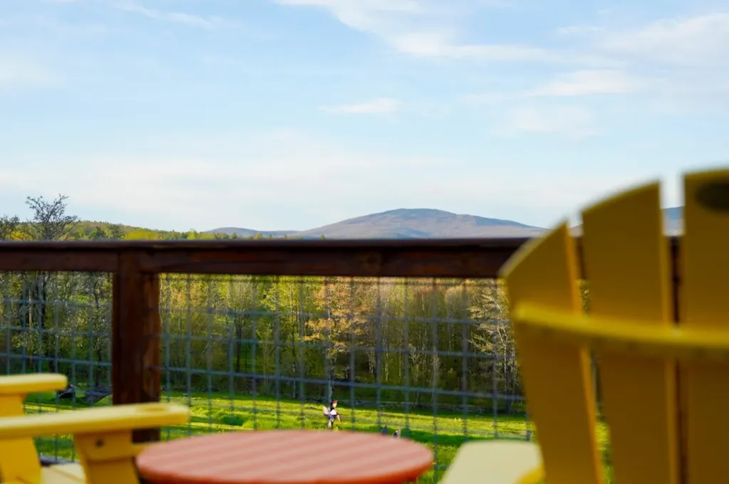 210 Holden Hill Road Weston VT 05161-4502