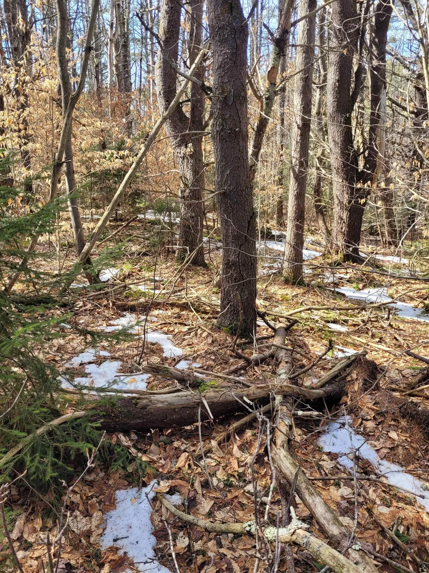 00 Route 9 Sullivan NH 03445