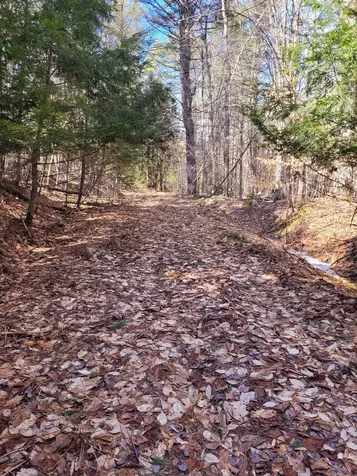 0 Route 9 Sullivan NH 03445