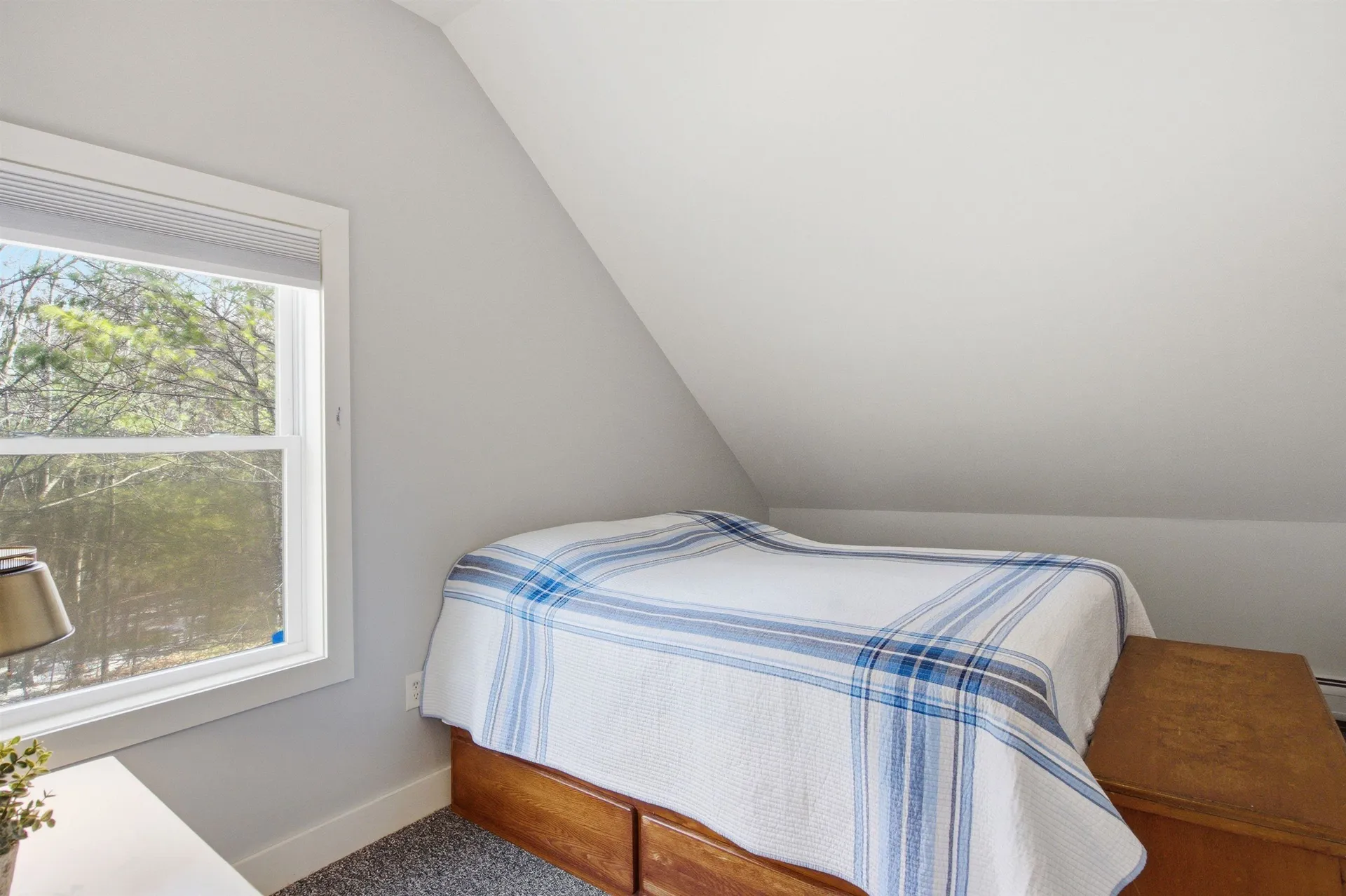 121 Cardigan Mountain Road Bristol NH 03222
