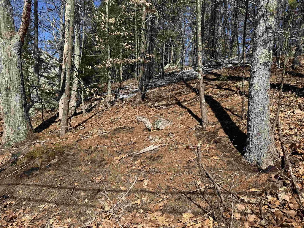 Lot 185 Nutter Drive Alton NH 03809