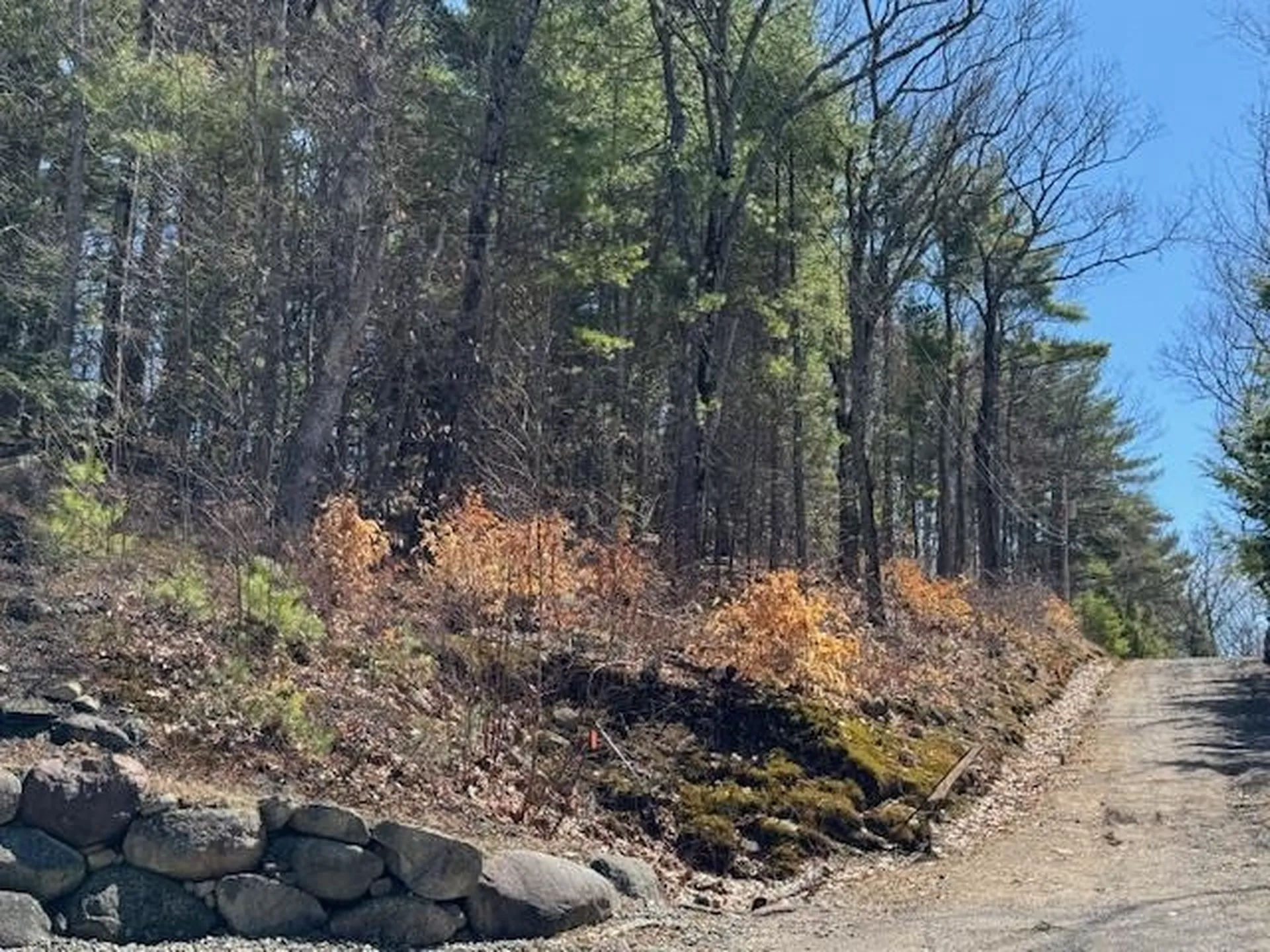 Lot 185 Nutter Drive Alton NH 03809