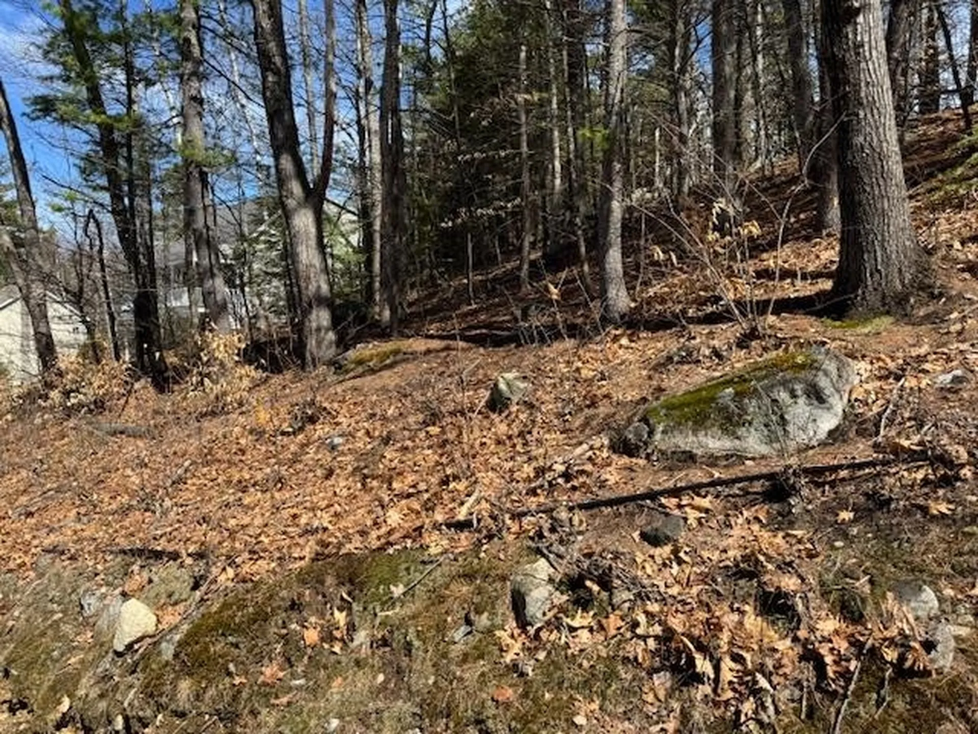Lot 185 Nutter Drive Alton NH 03809