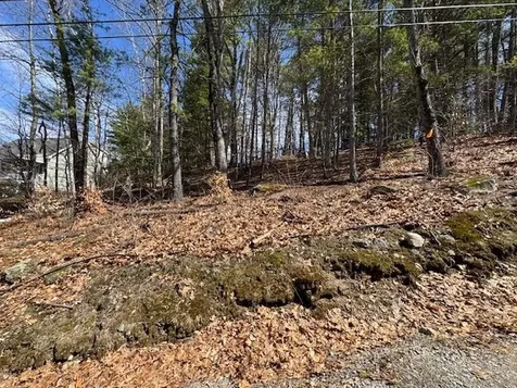Lot 185 Nutter Drive Alton NH 03809