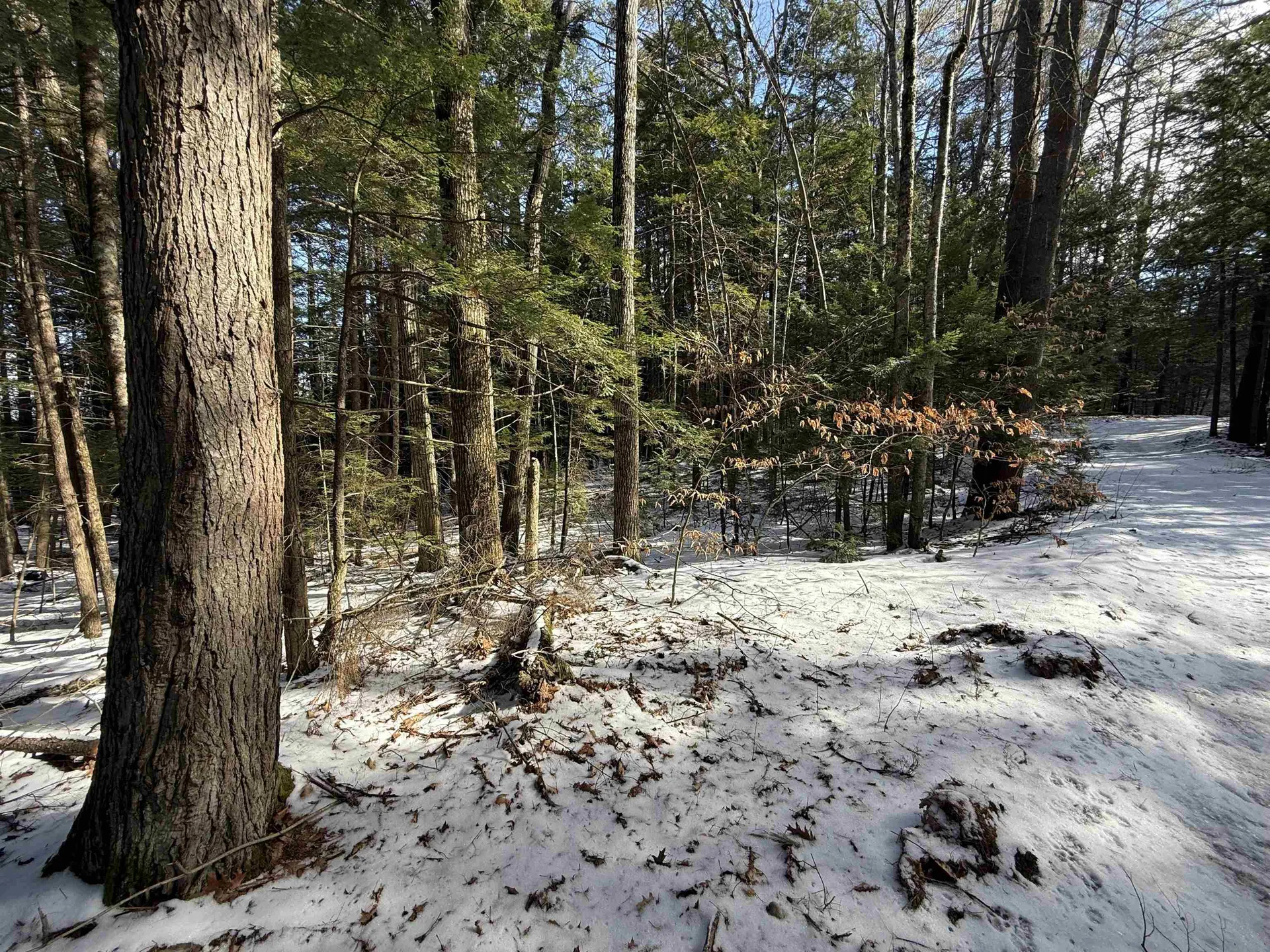 1 Shady Lane New Hampton NH 03256