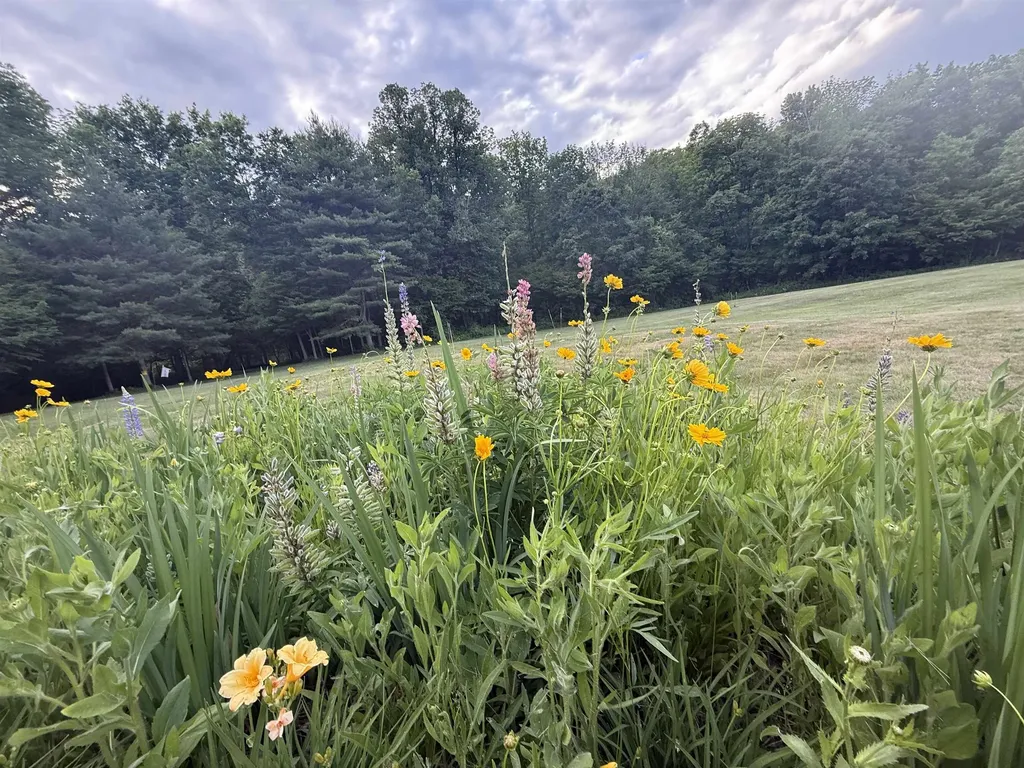 85 Limerick Lane Arlington VT 05250