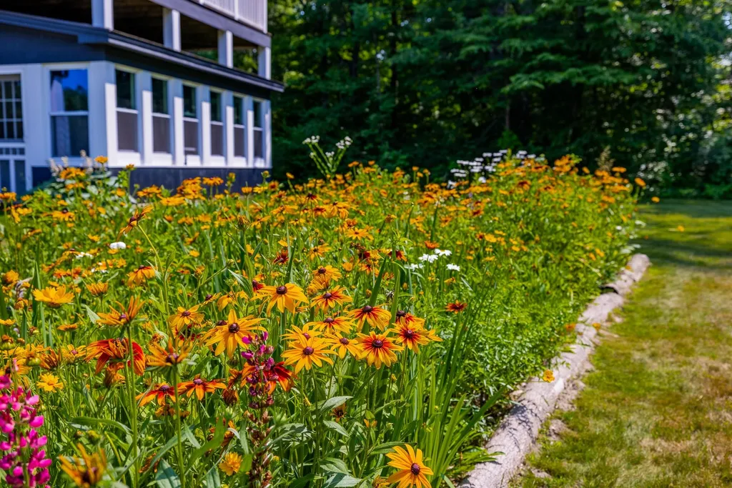 85 Limerick Lane Arlington VT 05250