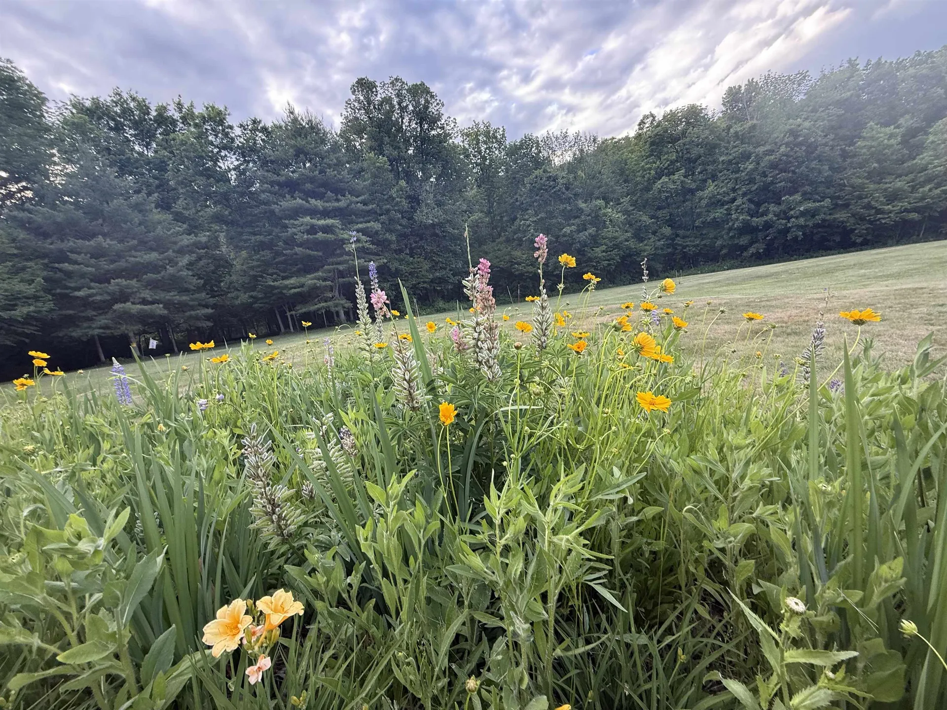 85 Limerick Lane Arlington VT 05250