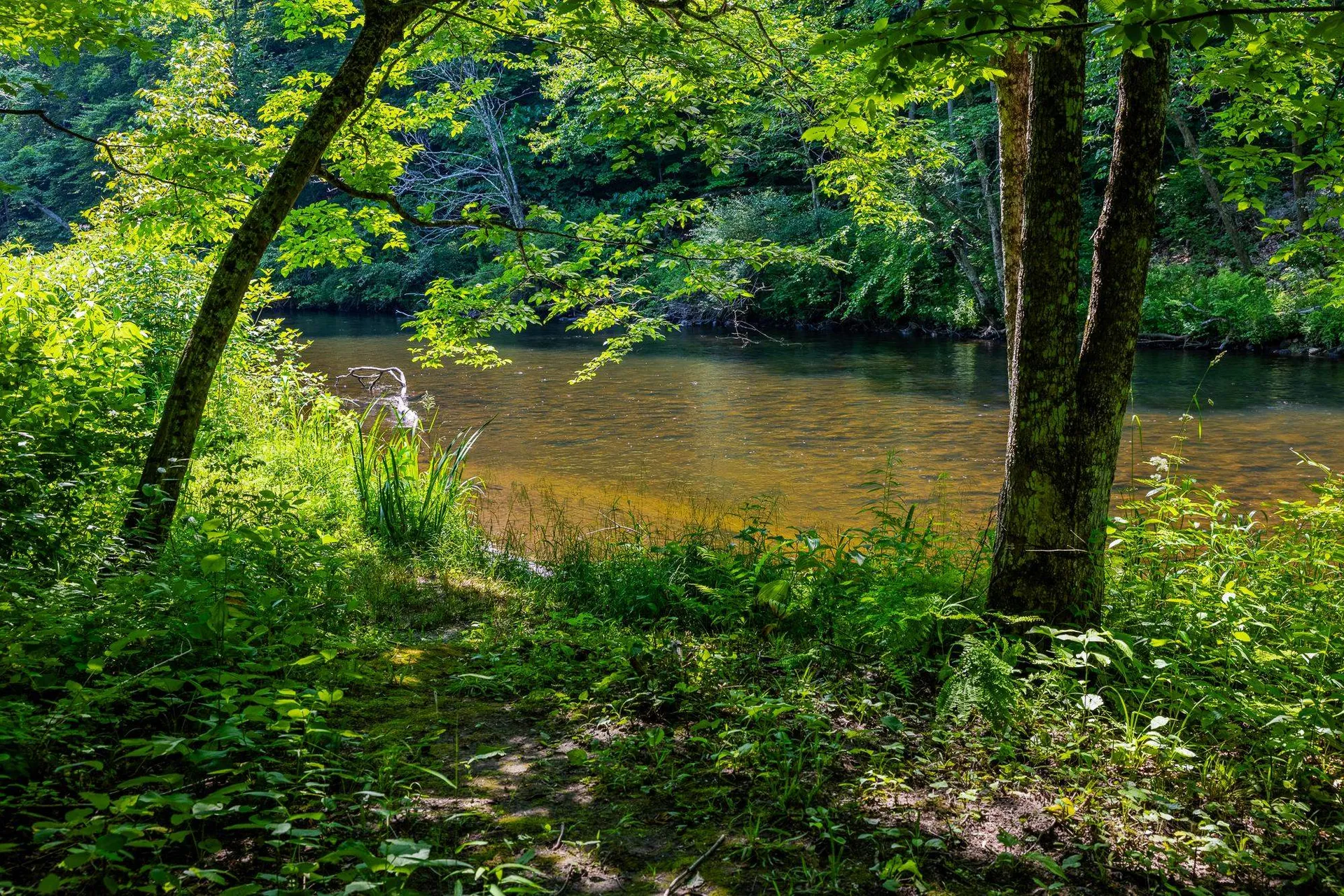 85 Limerick Lane Arlington VT 05250