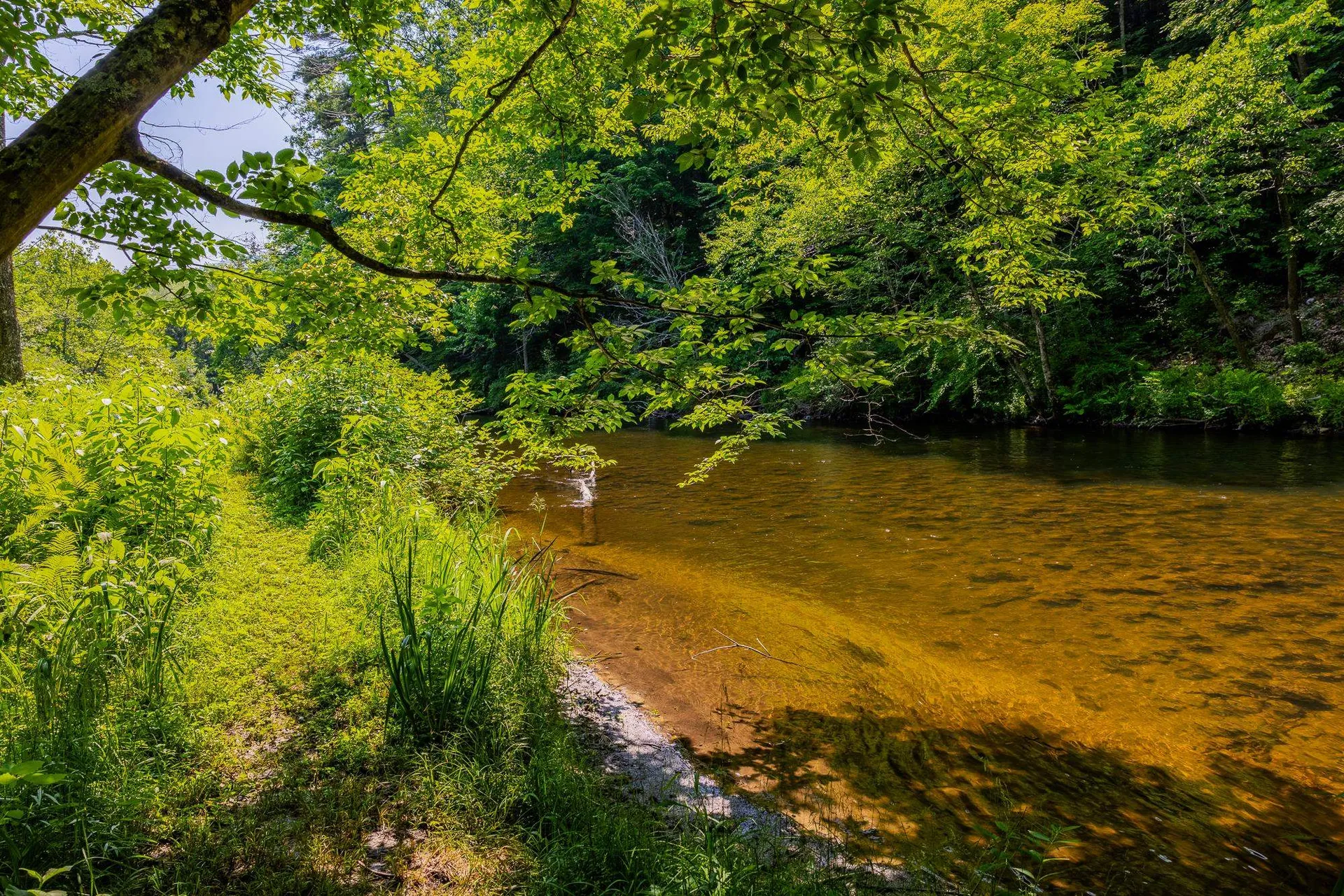 85 Limerick Lane Arlington VT 05250