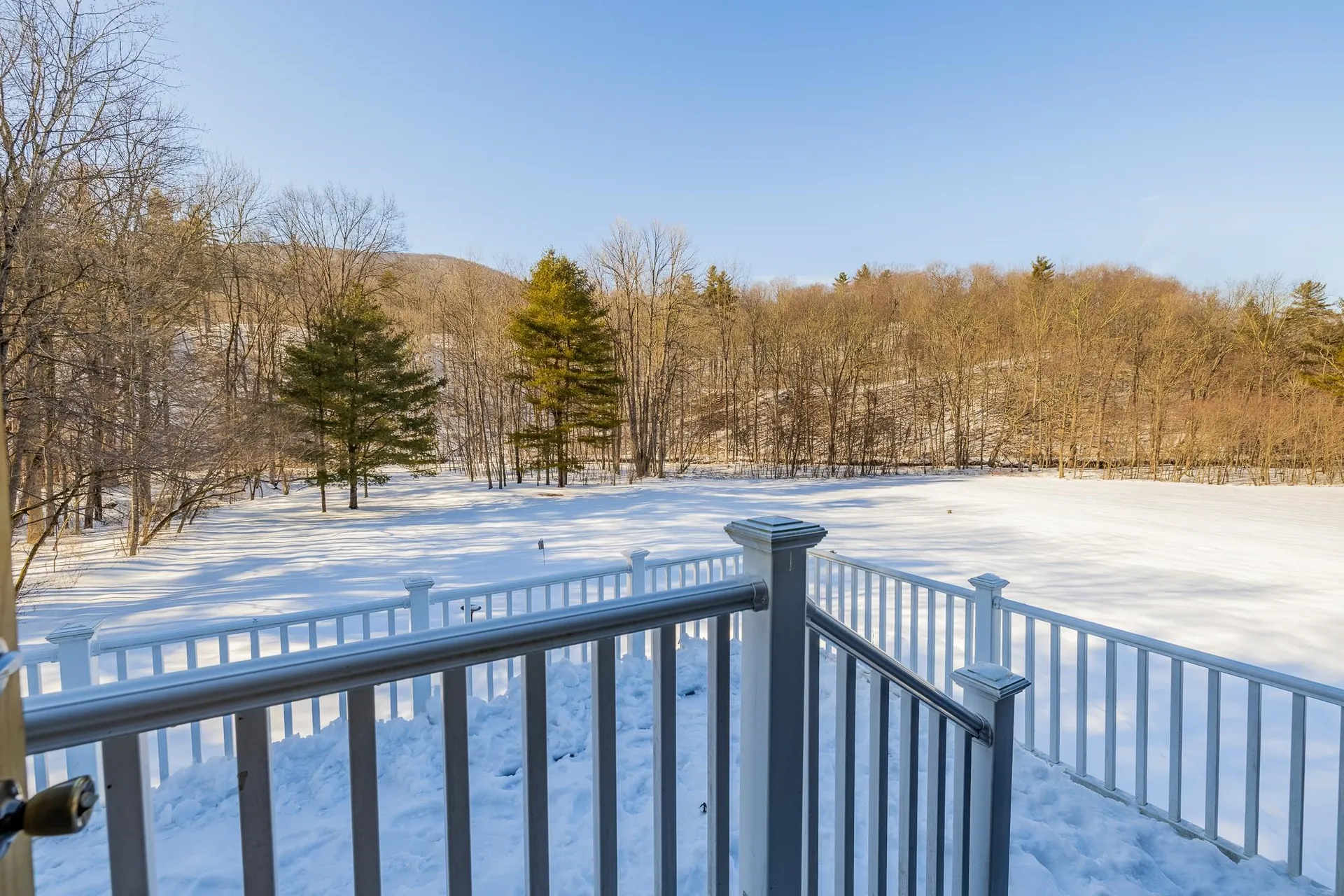 85 Limerick Lane Arlington VT 05250