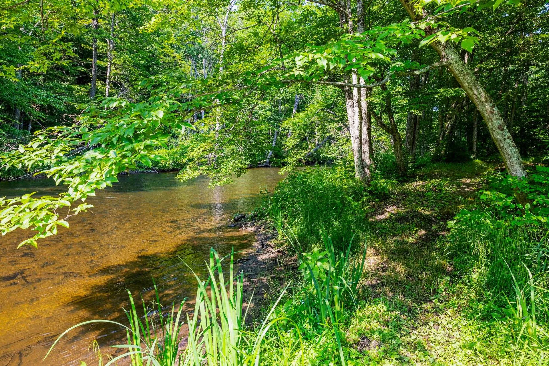 85 Limerick Lane Arlington VT 05250