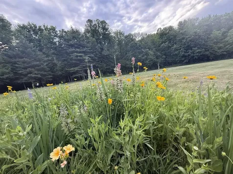 85 Limerick Lane Arlington VT 05250