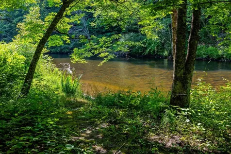 85 Limerick Lane Arlington VT 05250
