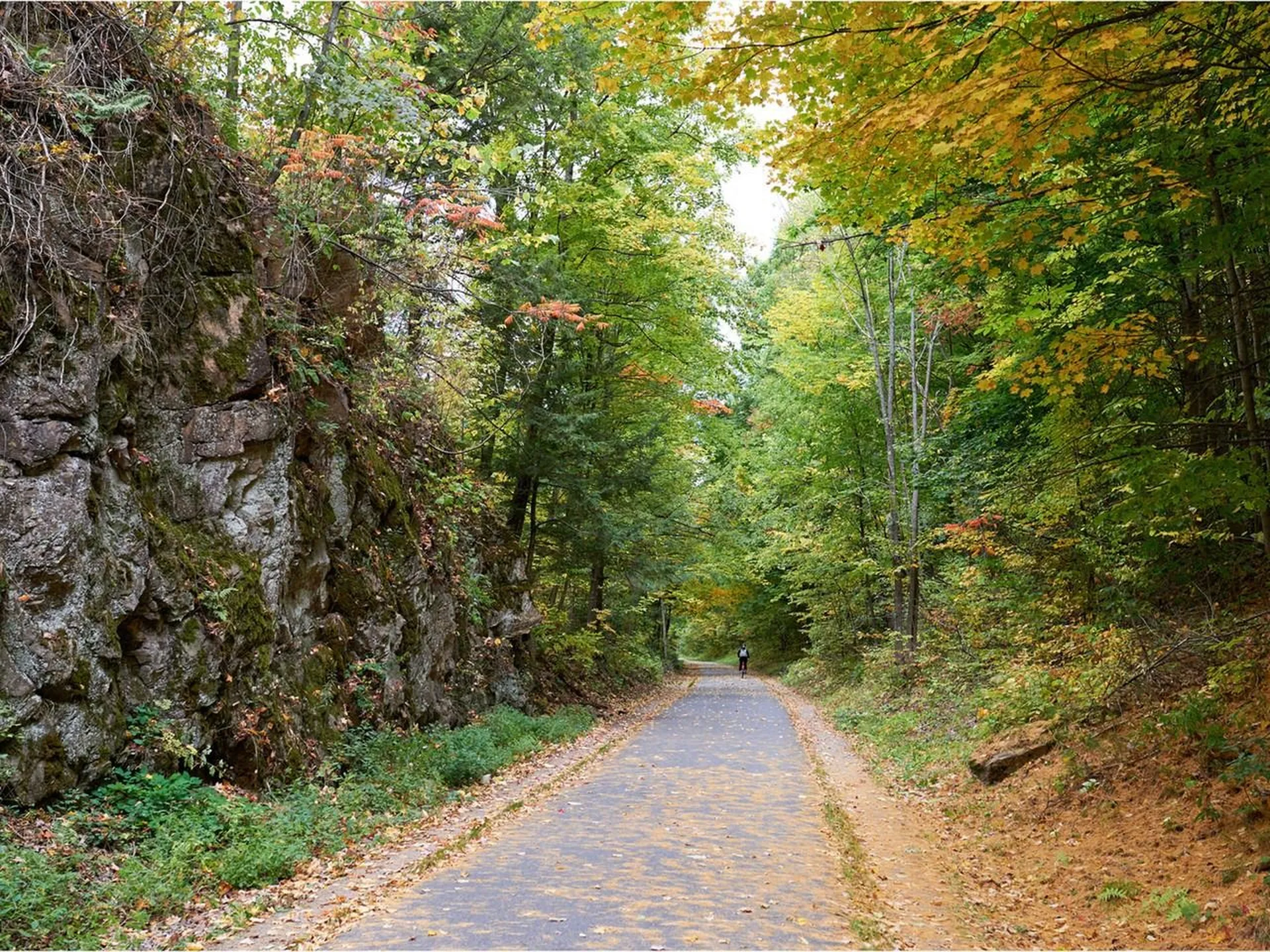 118 Farrington Parkway Burlington VT 05408