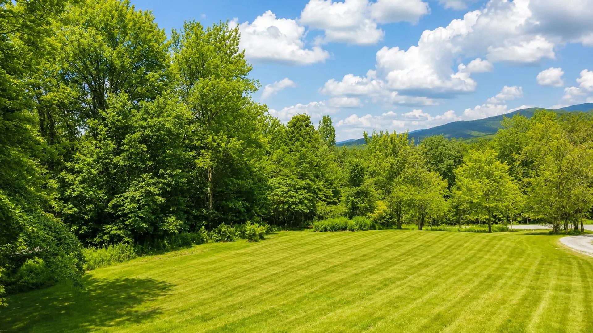 260 Weaver Road Huntington VT 05462