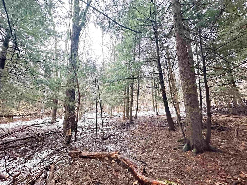 70 Fairwood Heights Morristown VT 05661