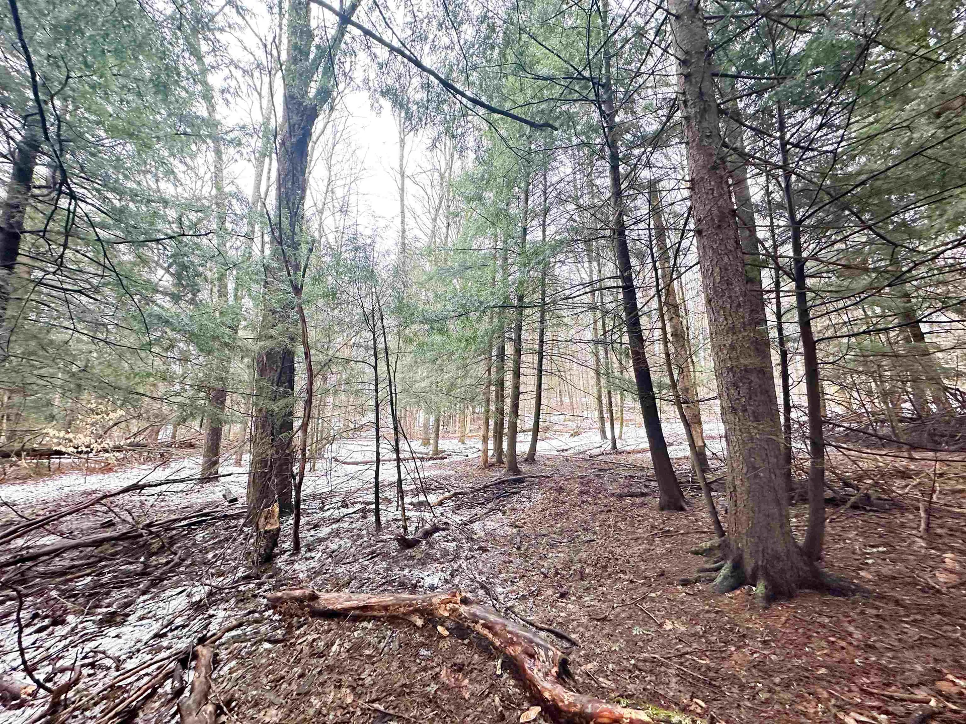 70 Fairwood Heights Morristown VT 05661