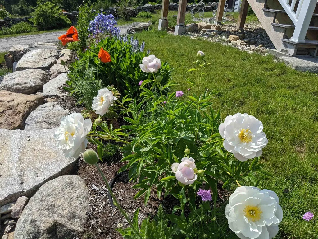 177 Route 121 E Grafton VT 05146