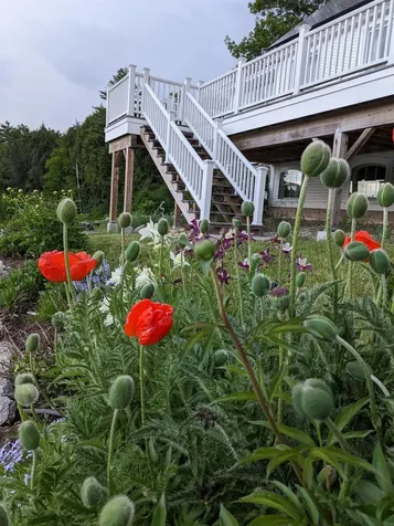 177 Route 121 E Grafton VT 05146