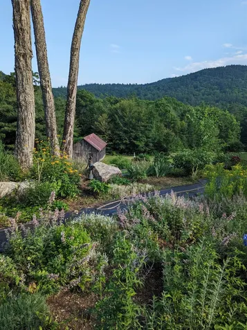 177 Route 121 E Grafton VT 05146