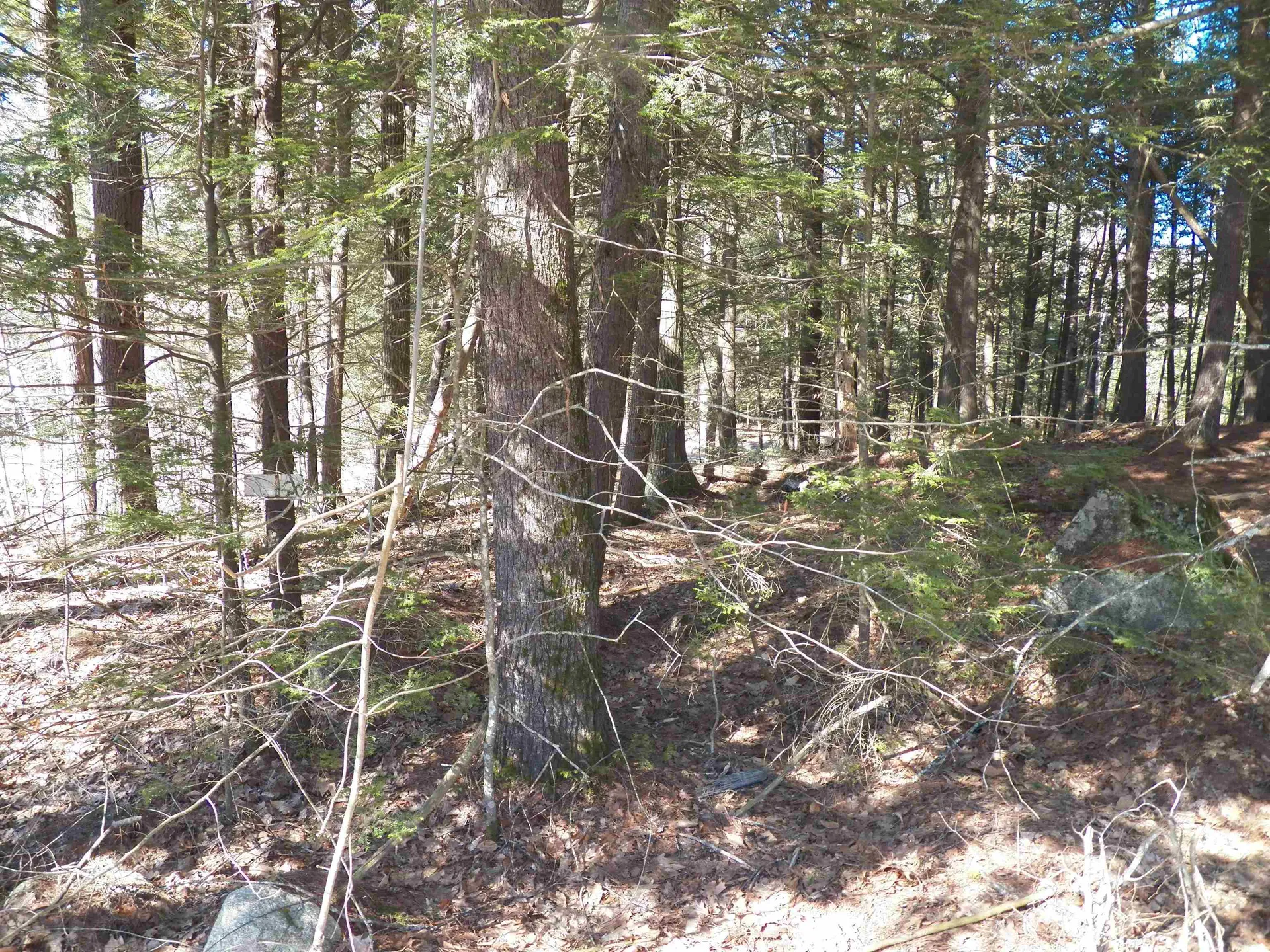 14-077 Deerpoint Drive Hillsborough NH 03244