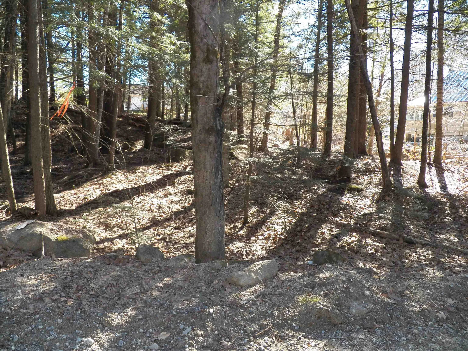 14-077 Deerpoint Drive Hillsborough NH 03244