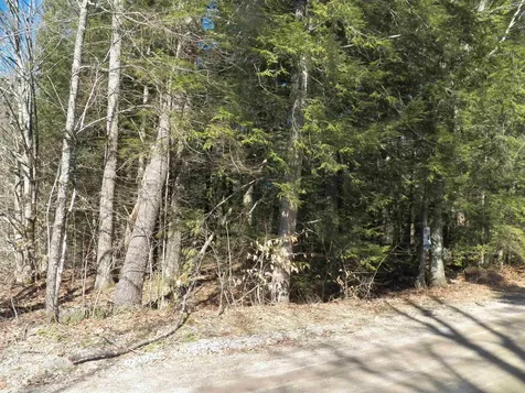 14-077 Deerpoint Drive Hillsborough NH 03244