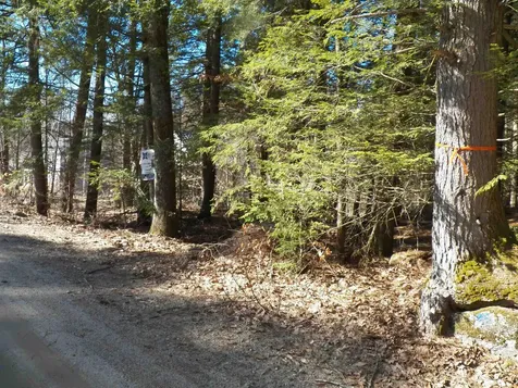 14-077 Deerpoint Drive Hillsborough NH 03244