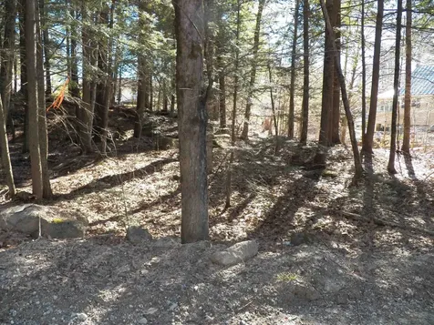 14-077 Deerpoint Drive Hillsborough NH 03244