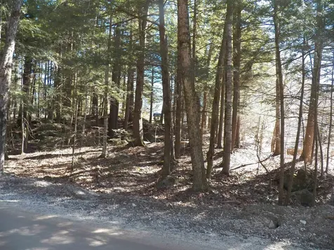 14-077 Deerpoint Drive Hillsborough NH 03244