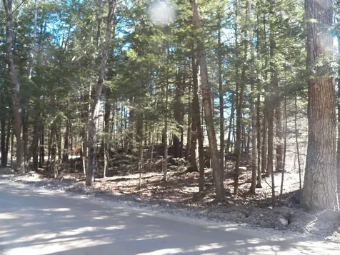 14-077 Deerpoint Drive Hillsborough NH 03244