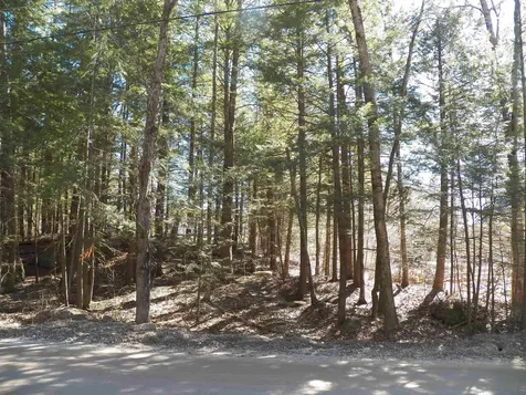 14-077 Deerpoint Drive Hillsborough NH 03244